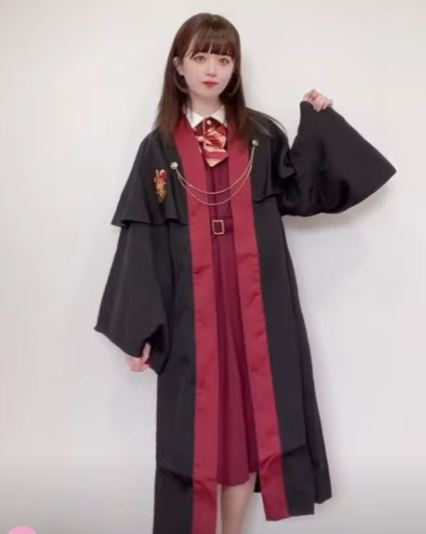 [Set Sale] Hogwarts School of Witchcraft and Wizardry Gryffindor Set