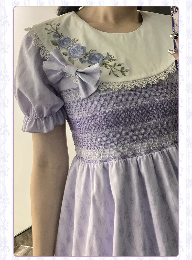 Wild rose retro embroidery short-sleeved dress