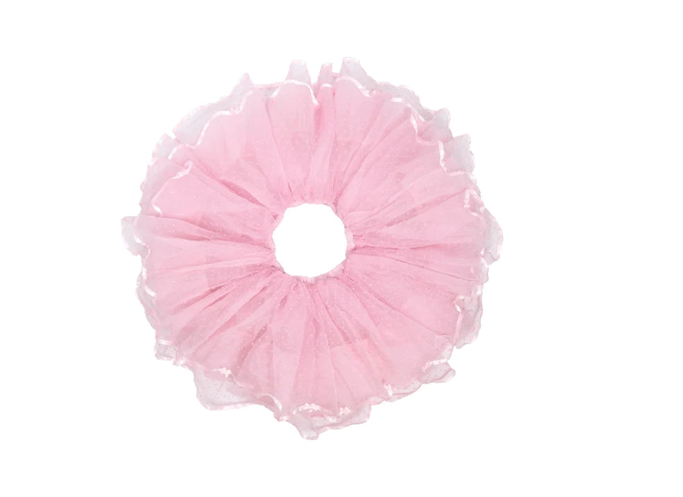 Ribbon Gift Box Dot Tulle Pannier