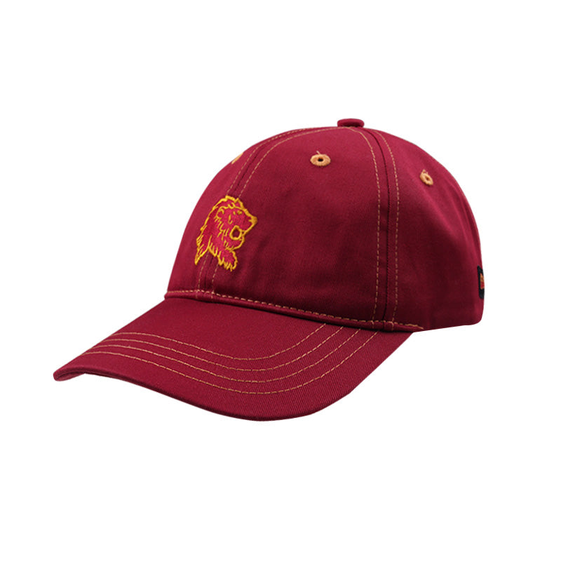 Hogwarts School of Witchcraft and Wizardry cap [dormitory color]