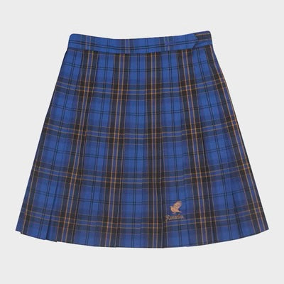 Hogwarts School of Witchcraft and Wizardry Check school-style pleated skirt