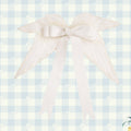 Simultaneous purchase only [Sale period ended] Daisy and Sky accessories