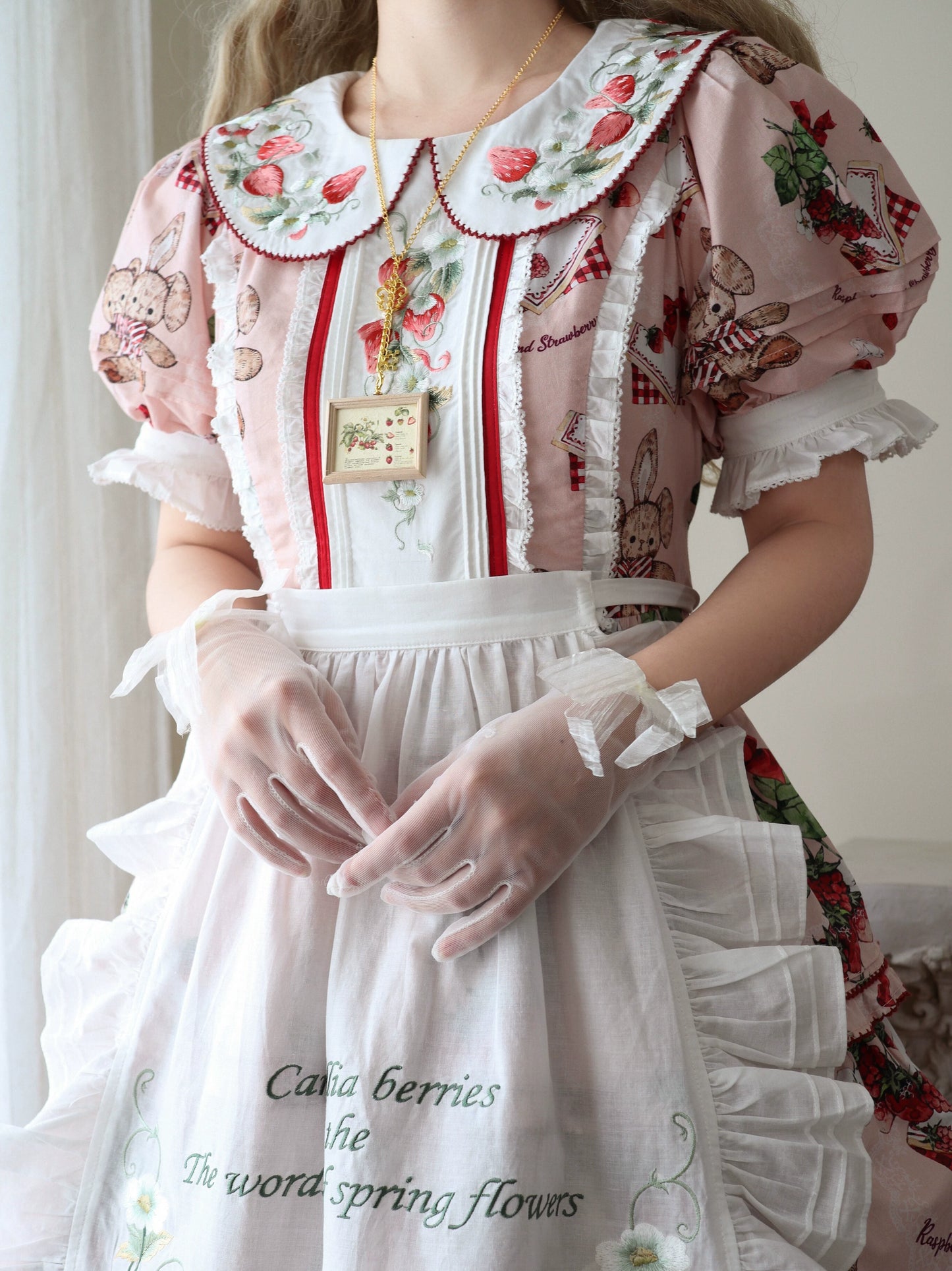 [Sale period ended] Camellia Berry short sleeve dress embroidery type