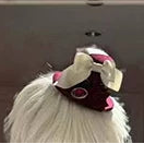 祭夜薔薇 ミニハット・リボンタイ