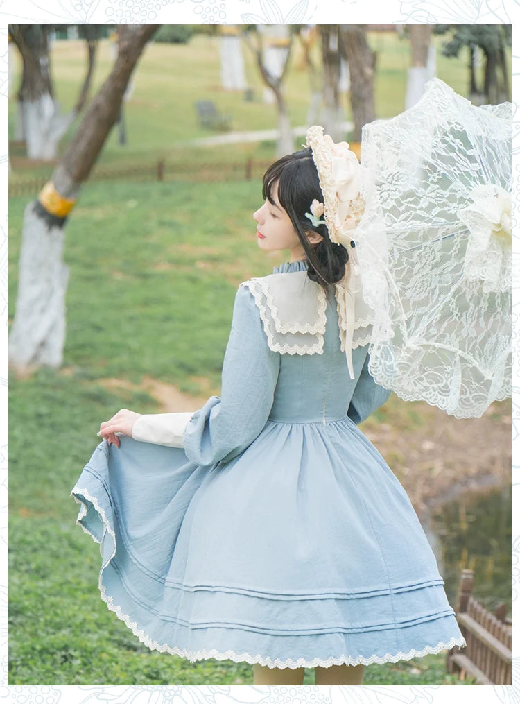 Elegance butterfly dress and sheer apron