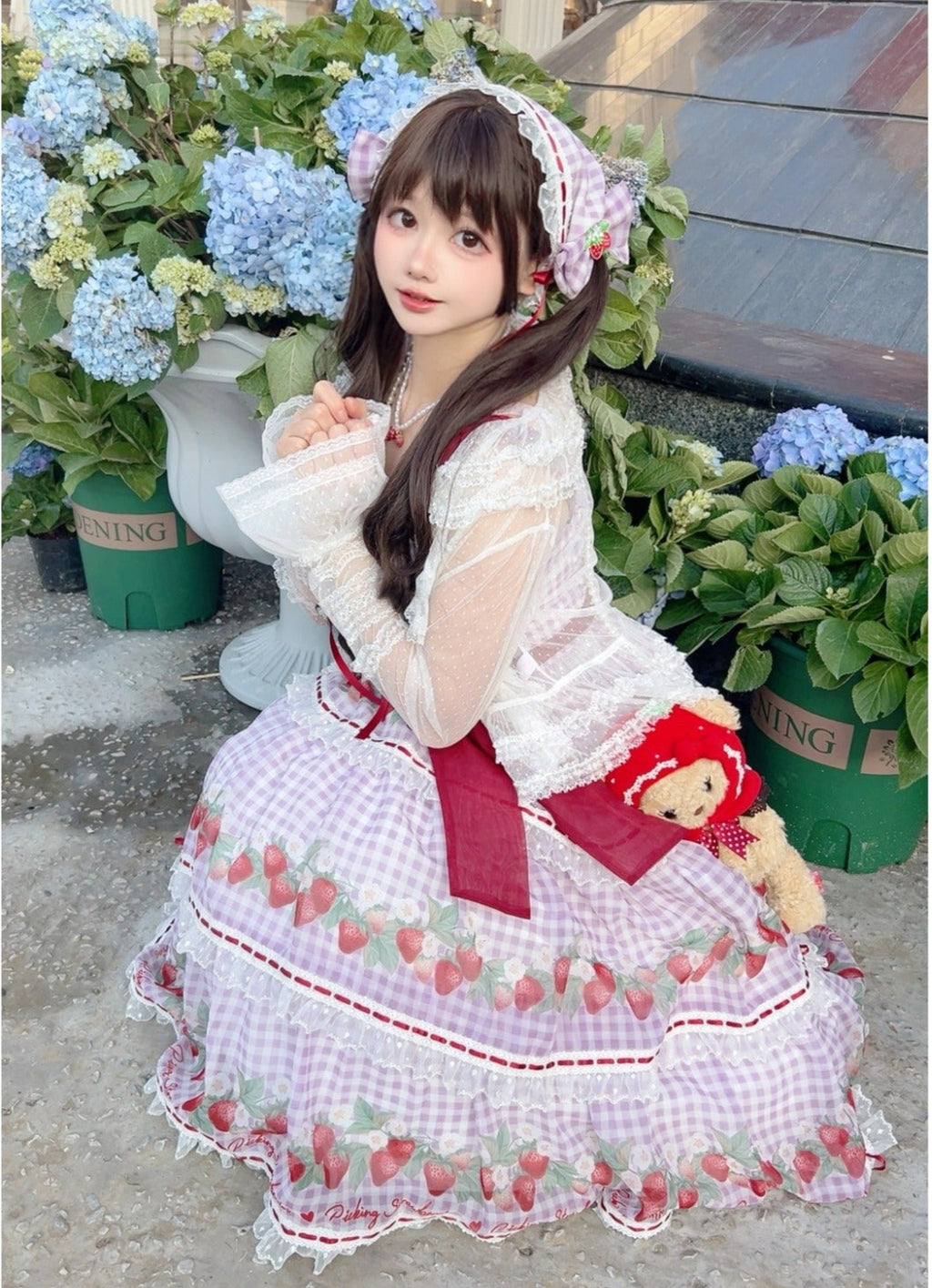[Pre-orders accepted until 3/5] Have a Picnic, May Strawberry Gingham Check Jumper Skirt