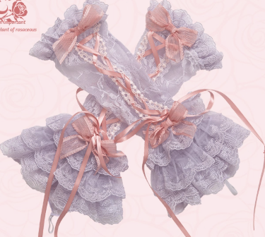 同時購入のみ【受注予約8/6まで】Rose Courtyard アームスリーブ・新色