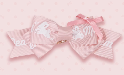 同時購入のみ【受注予約6/11まで】Bow Rabbit アクセサリー
