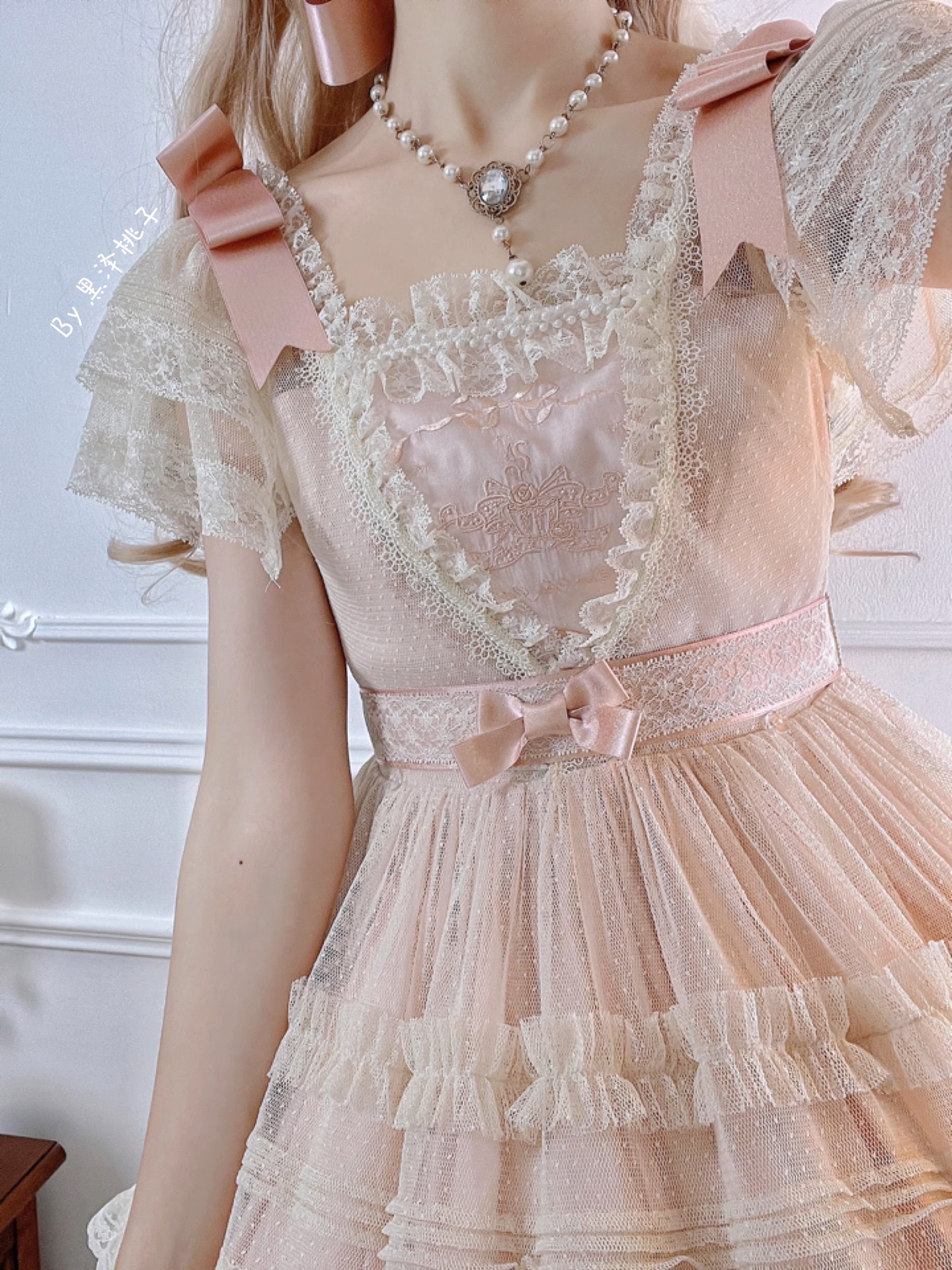 Afternoon Tea Party Embroidered Polka Dot Tulle Dress