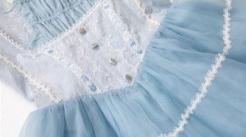 Antique Porcelain Plates Corset Jumper Skirt