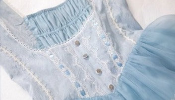 Antique Porcelain Plates Corset Jumper Skirt