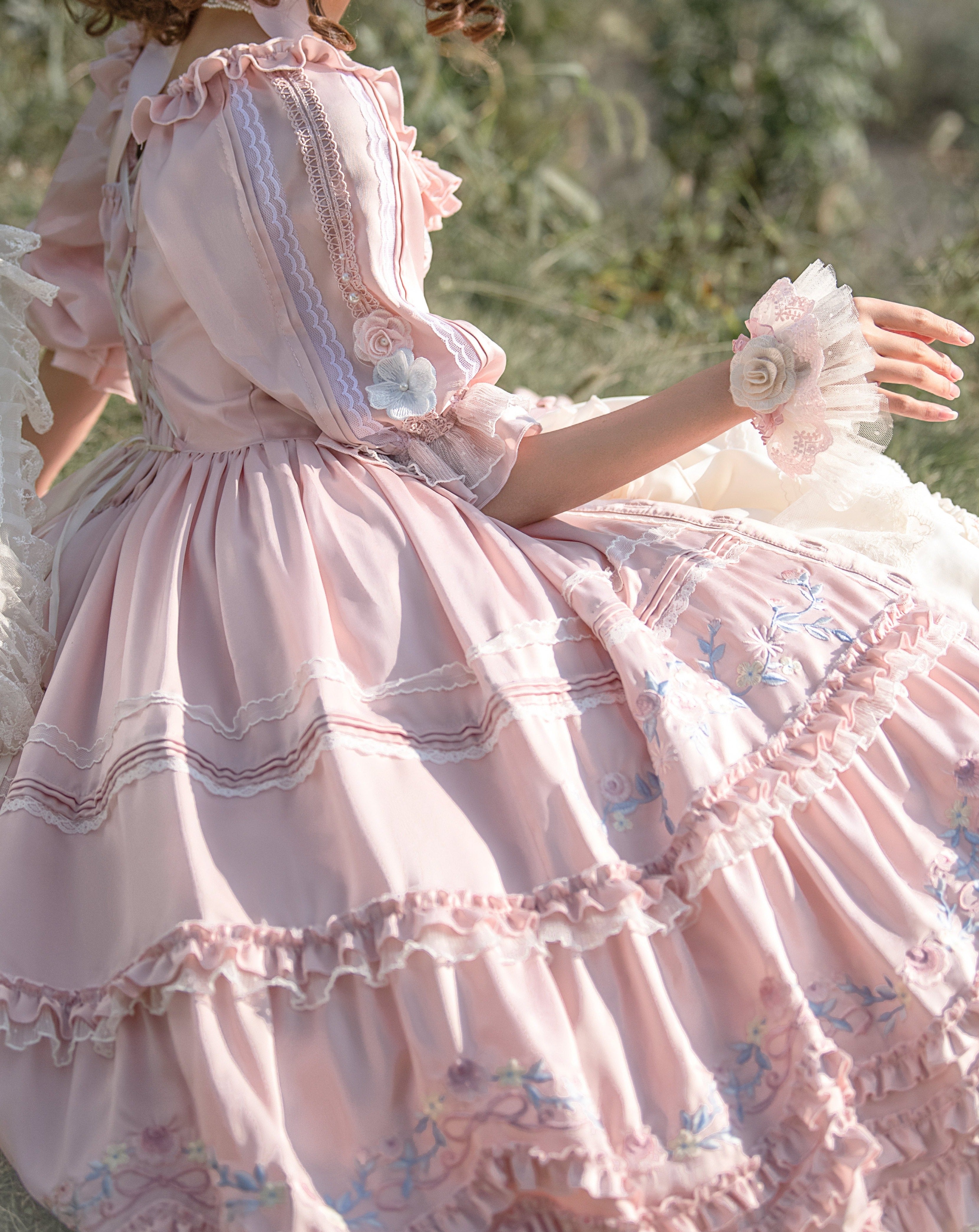 Rose embroidery garden princess dress full set