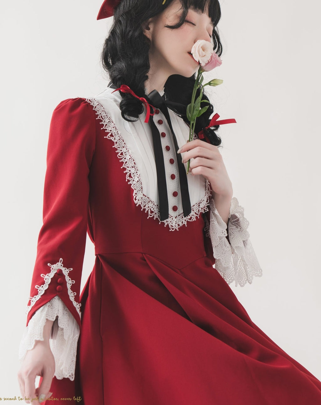 Freya's Fall Classical Lace Sleeve Dress