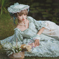 Rose embroidery garden princess dress full set