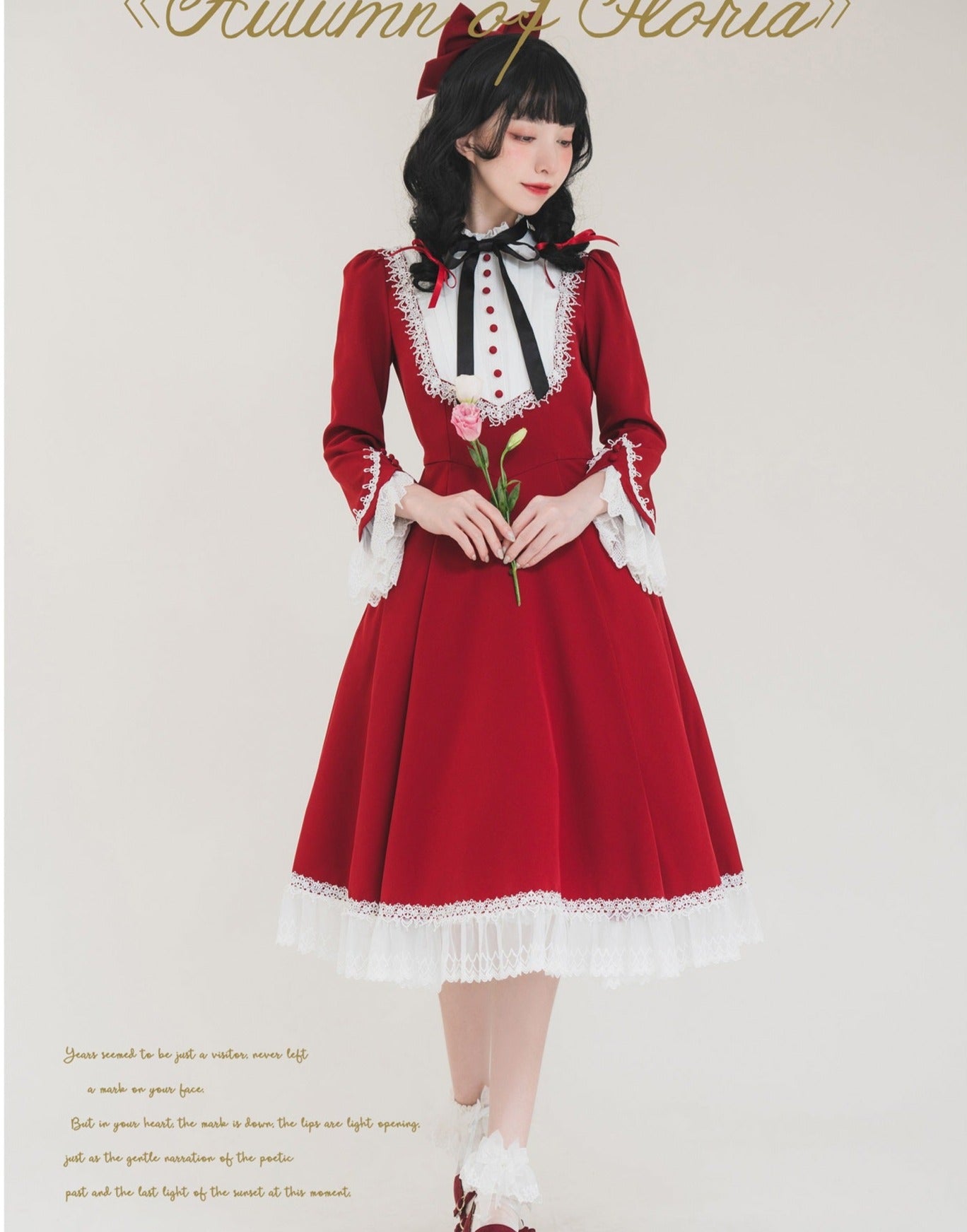 Freya's Fall Classical Lace Sleeve Dress